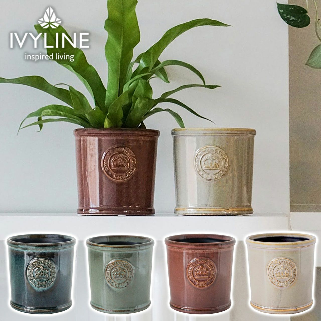 000000006445-01.jpg?size=l&w=