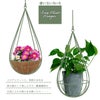 しずく型プラントハンガー Mサイズ