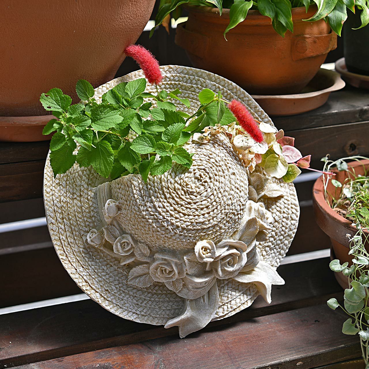 000000006479-01.jpg?size=l&w=