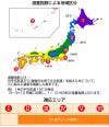 【50平米 つくばグリーン】 つくばグリーン 野芝 張り芝用 つくば産 50平米(15坪分)