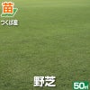 【50平米 野芝】 野芝 張り芝用 つくば産 50平米(15坪分) 