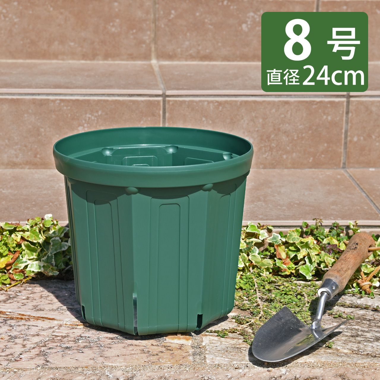 鉢 12角×5鉢セット】プレミアローズセレクション【12号角深鉢5鉢セット
