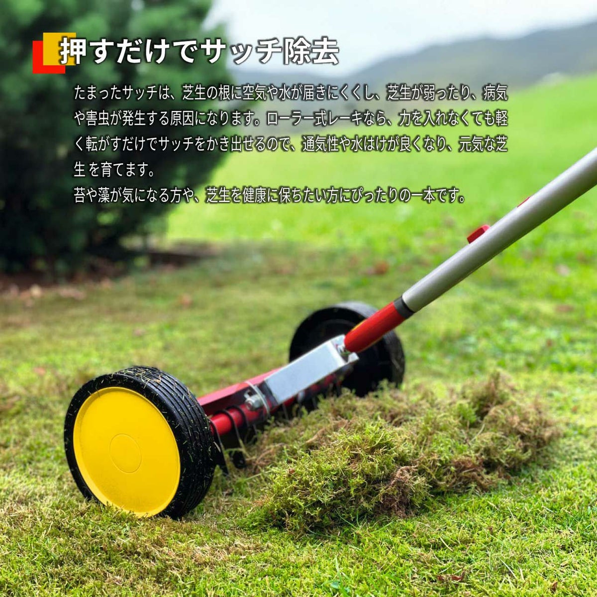 WOLF GARTEN（ウルフガルテン） MULTI-STAR マルチスター ローラー式芝生清掃レーキ