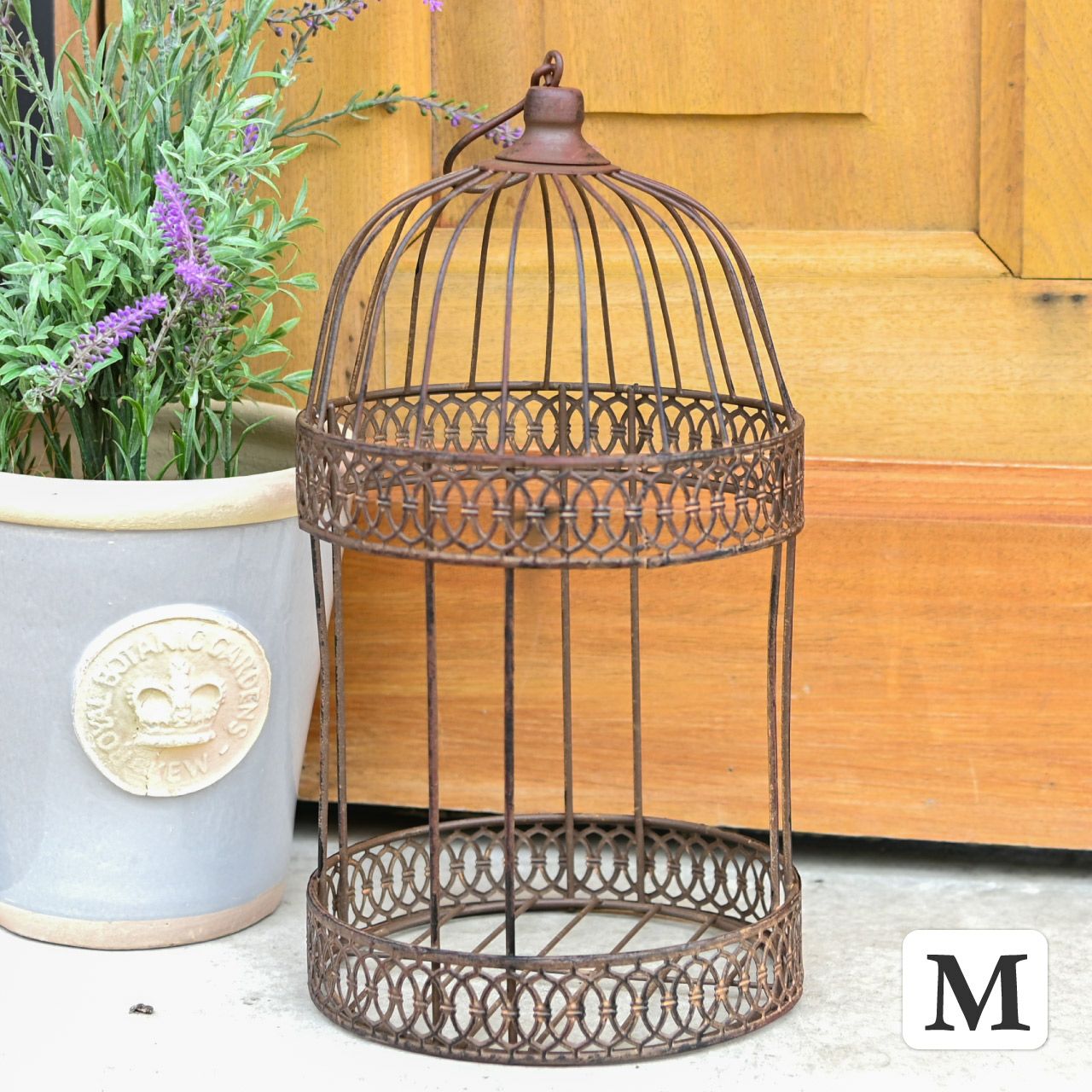 000000006550-01.jpg?size=l&w=