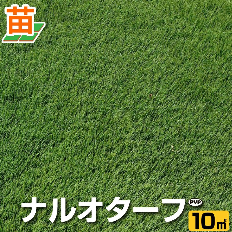 鳥取産 | 芝生のことならバロネスダイレクト