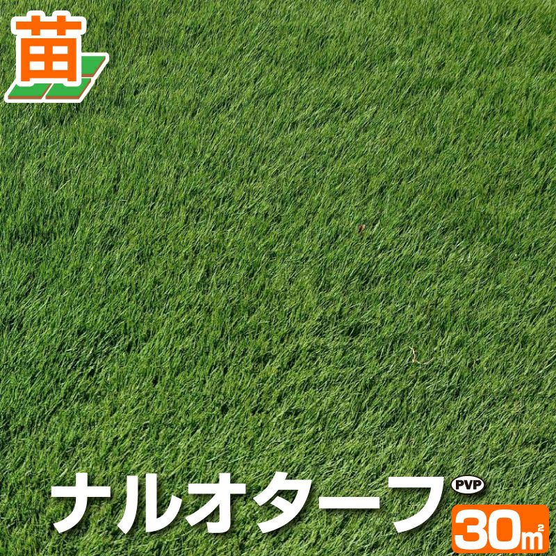 鳥取産 | 芝生のことならバロネスダイレクト
