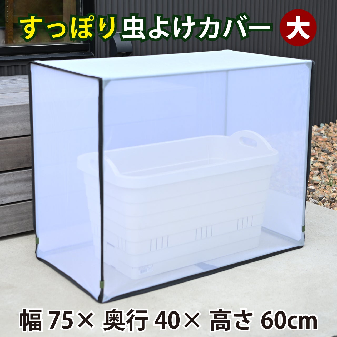 000000006765-01.jpg?size=l&w=