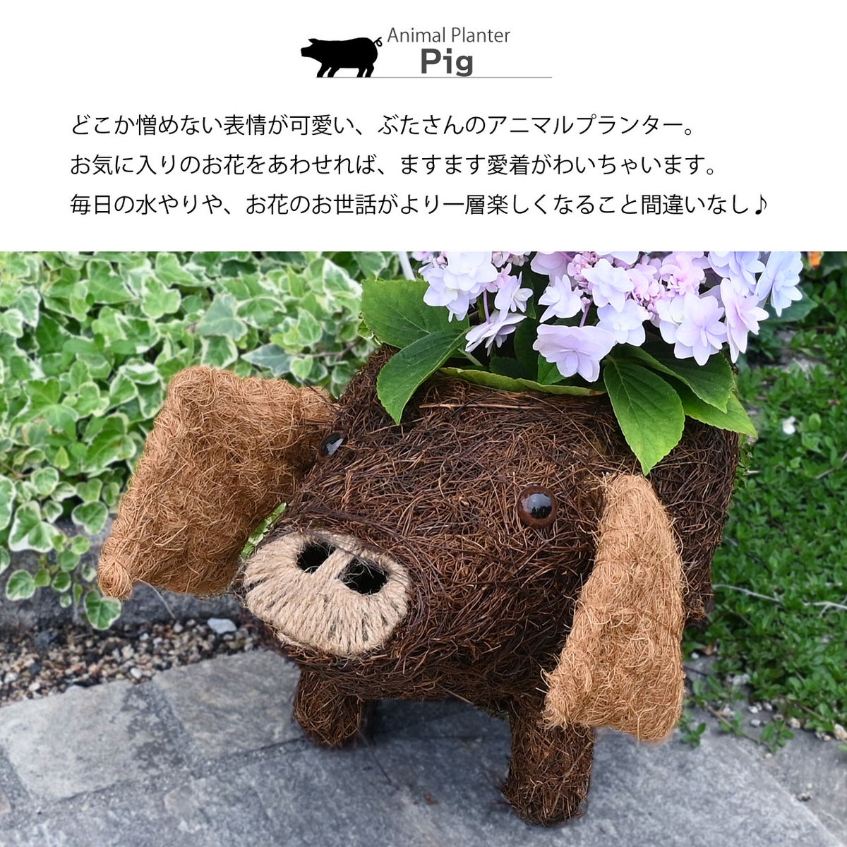 ガーデンアニマルプランター ぶた