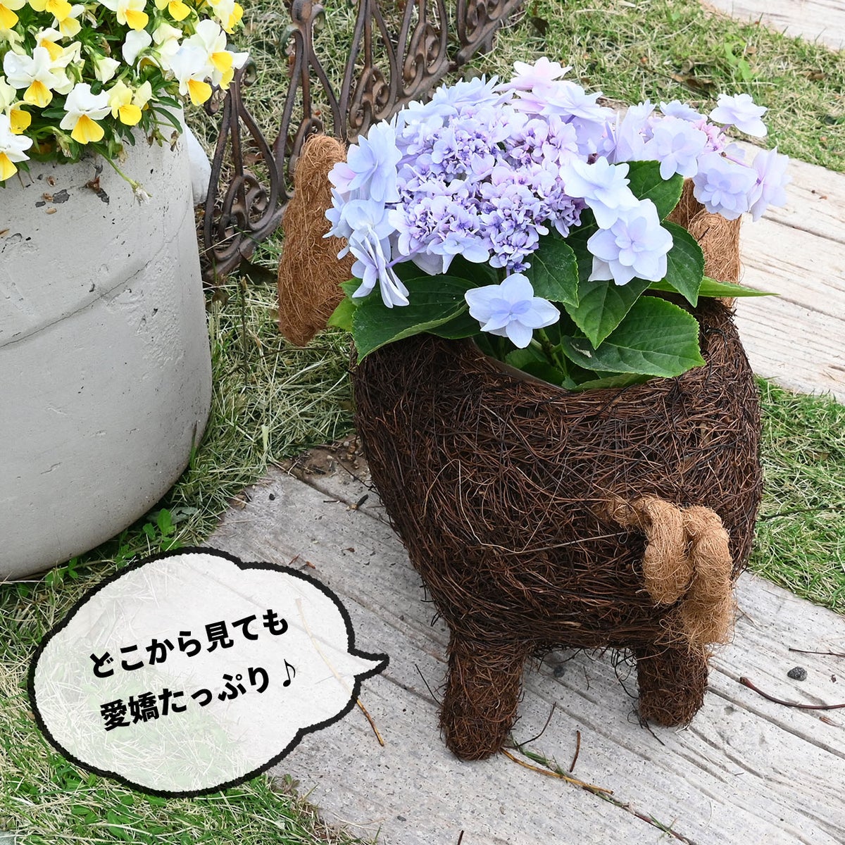 ガーデンアニマルプランター ぶた